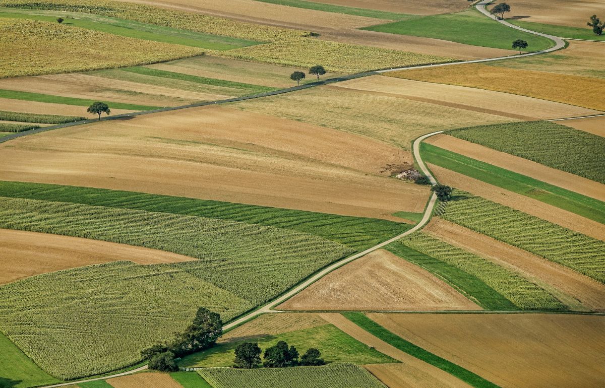 Discussion générale sur la politique agricole commune